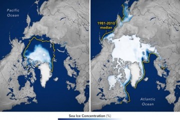 2020-2021年海冰的最高点和最低点极地冰的下降趋势仍在继续